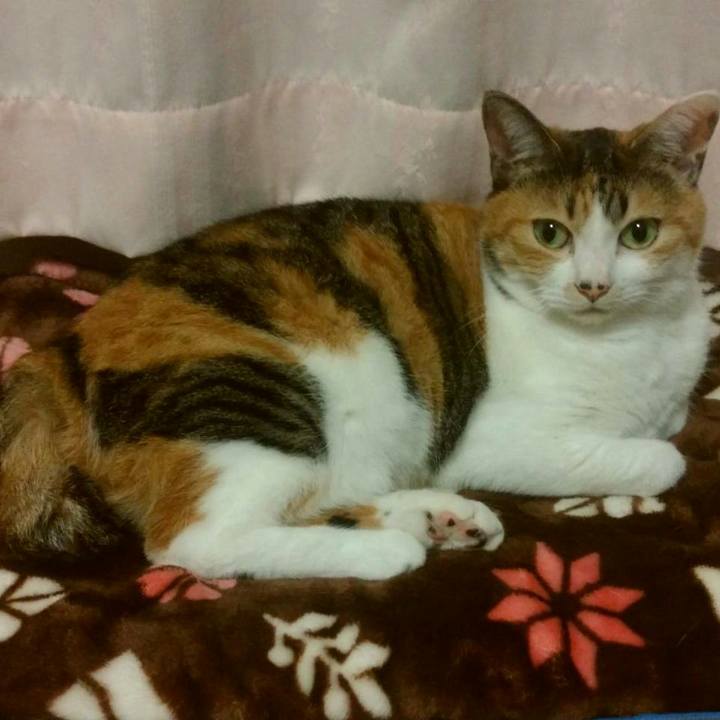 34ce8e5c a882 4097 8a95 b10964057ae9