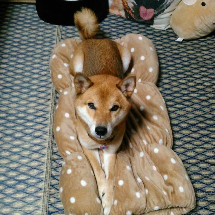 34cecaeb bbc6 4fa2 82c1 94eea4e2a7a0