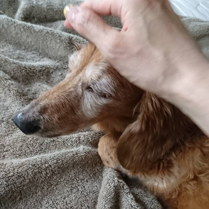 34cf0c6a 5d71 4eed a884 d617fa38abdc