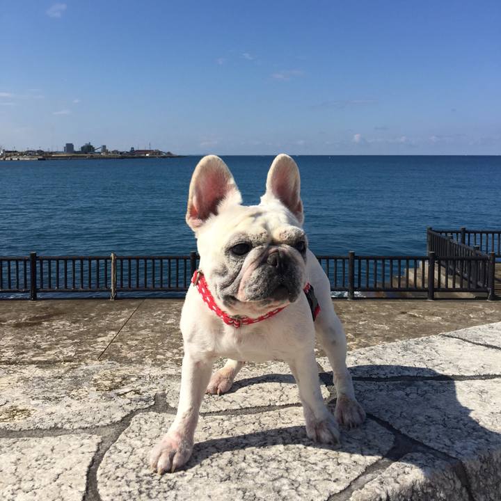 34cf3762 b69c 4486 b8b7 a0b20ee27835