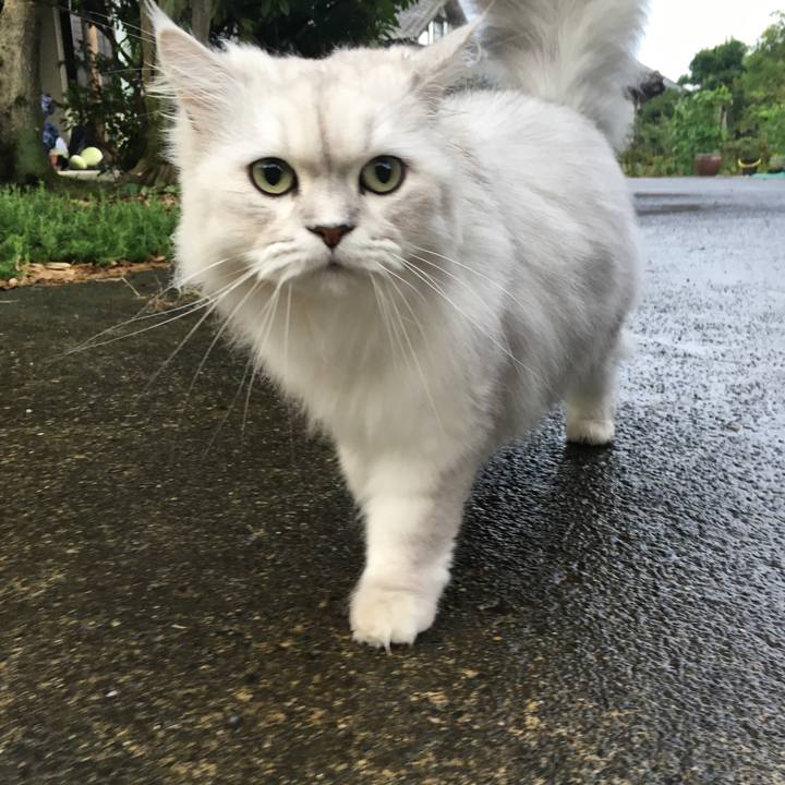 34cf429d 4091 4f06 acf1 0339ddcbc58b