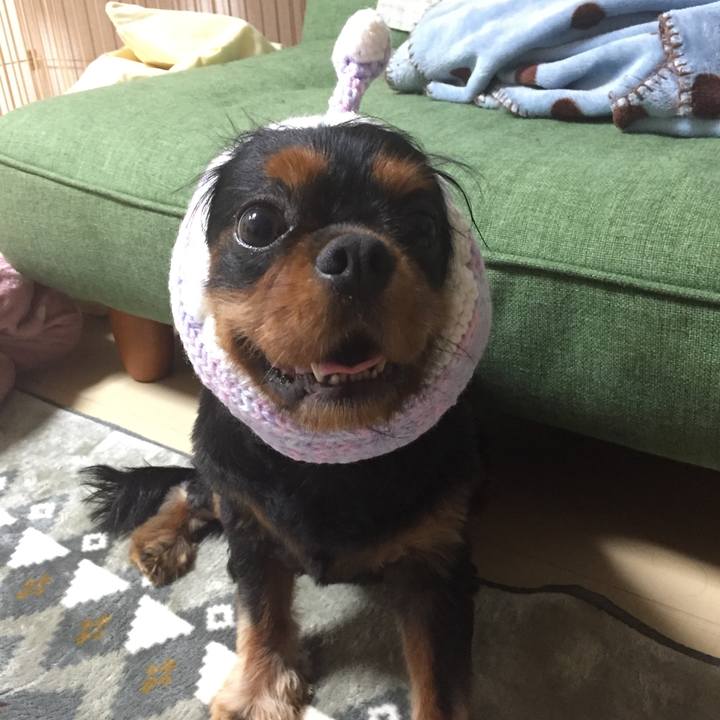 34cfbbc7 91a7 4804 bcd7 34f92ce11557