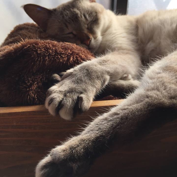 34cfe687 45ff 4f20 9913 b73909c72e30