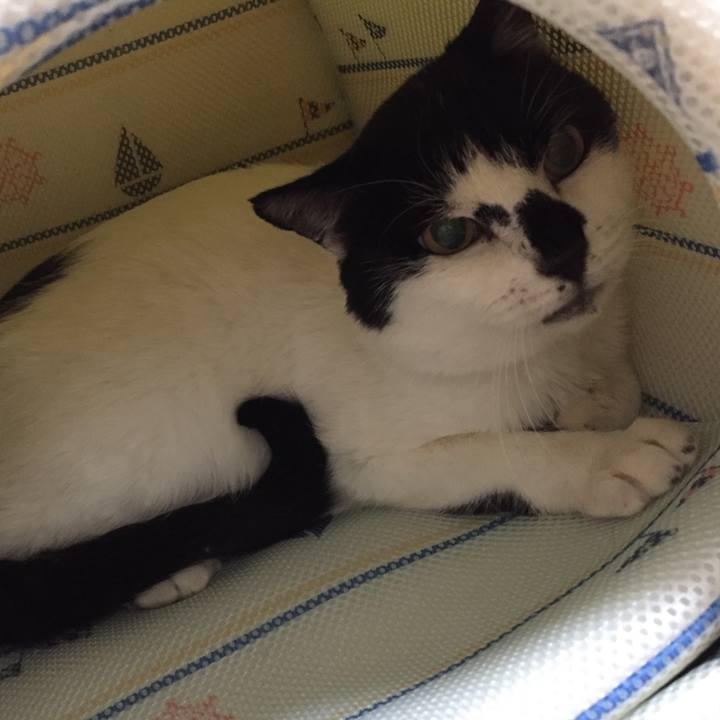 34cfe793 5cf1 4956 82ca 2c0aa84a9b53