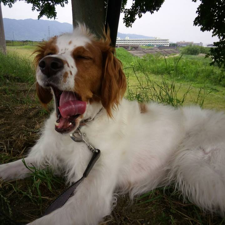 34d03186 313b 48f3 b1d7 00c004818b2a