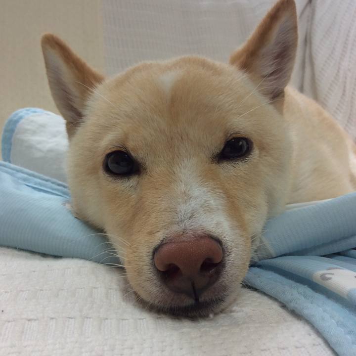 34d052e3 5faa 4691 88ff 8a0aef8a270f