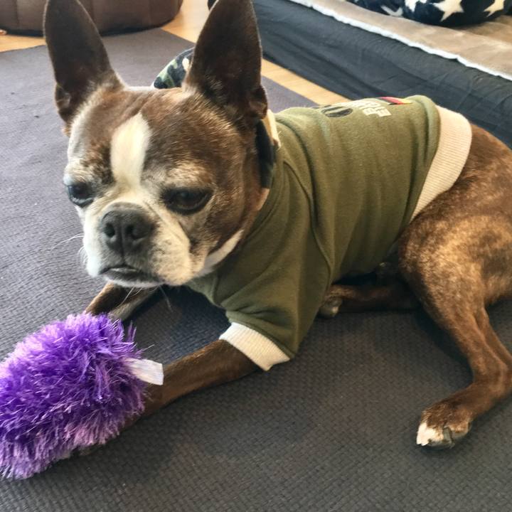 34d0e93c 48df 4dbe bd58 3b8208ba417d