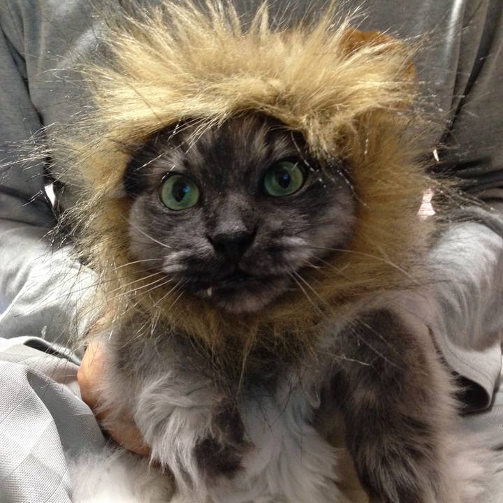 34d12144 7753 4214 848b 05d798bd0d07