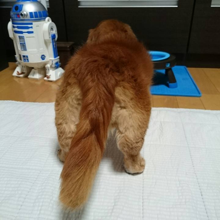 34d15f02 2d28 4c3e b7c8 228f3f12ea8b