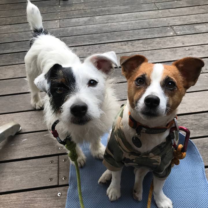 34d1fbc5 95cb 4b73 b4b7 8339020d2e8d