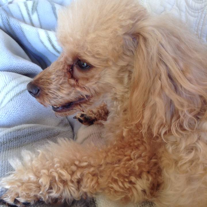 34d280cb 0a45 4ee1 9e3d ab63b77c999e