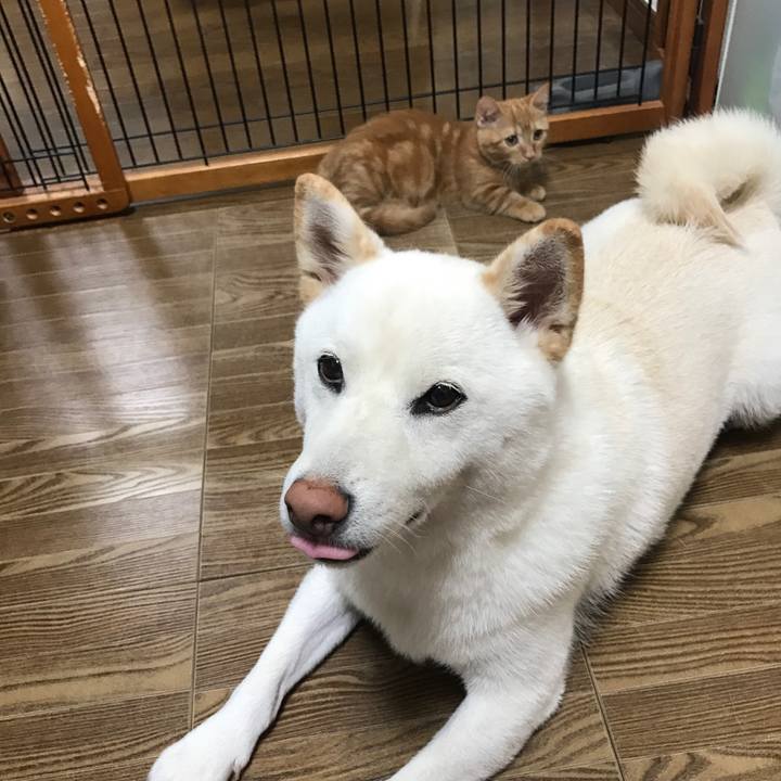 34d33416 402e 4e28 ac3e b43f3a6e067b