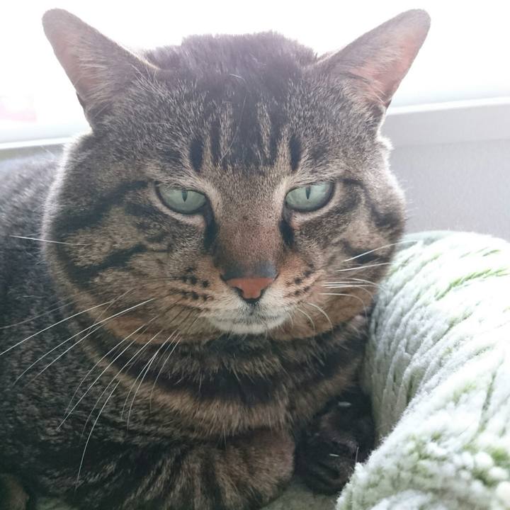 34d4c740 2e85 43a8 8730 542d4ead771e