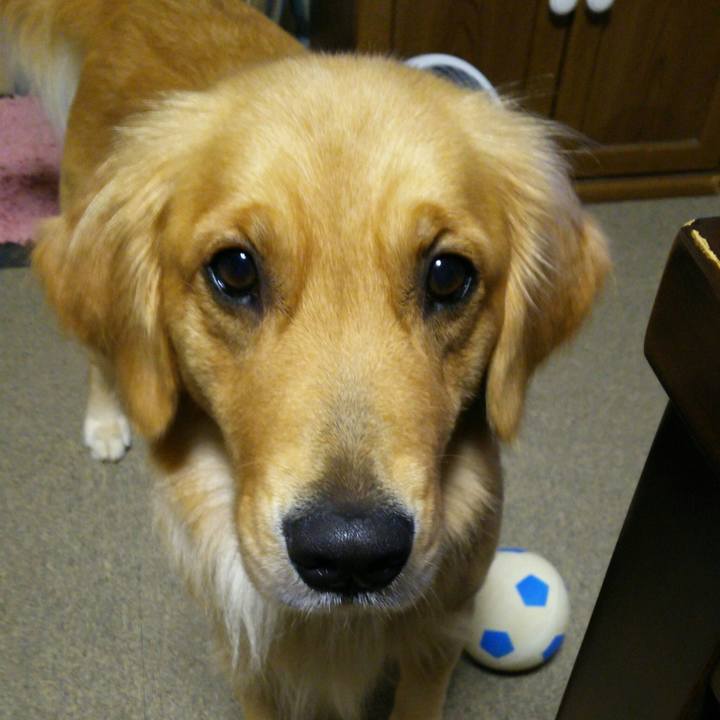 34d4e86e e120 474d 8591 5ba4c767a3df