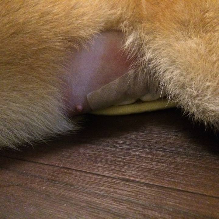 34d4f0b5 dfb6 44a2 9e55 59cf8fe5d8c2