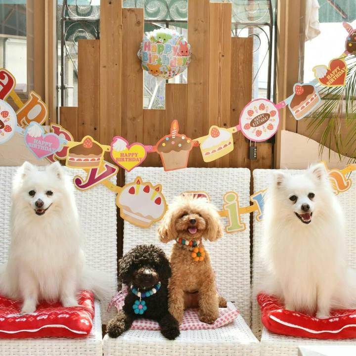 34d55b89 25db 4f00 aeae a58ba9d1ae10