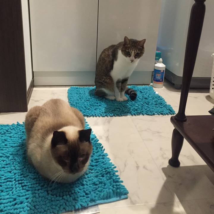 34d57b60 1c19 4df0 acad 6d0693ab584e