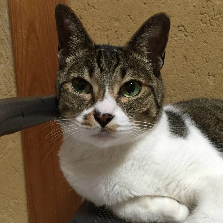 34d5a666 8a5a 4401 b16b ade4642fb930