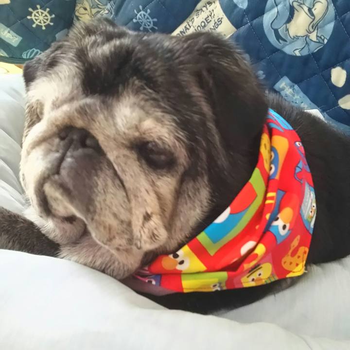 34d67902 d71f 436f 86f1 63782cf68061