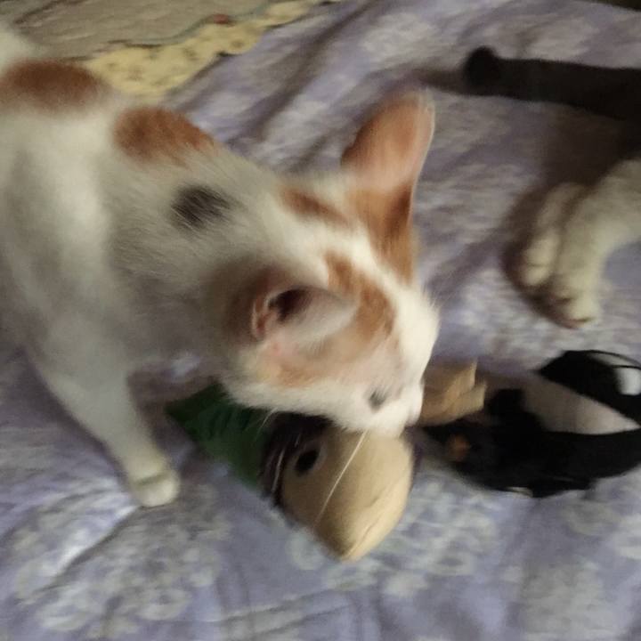 34d6b5da 6c5f 446b 873e f58ca66d0825