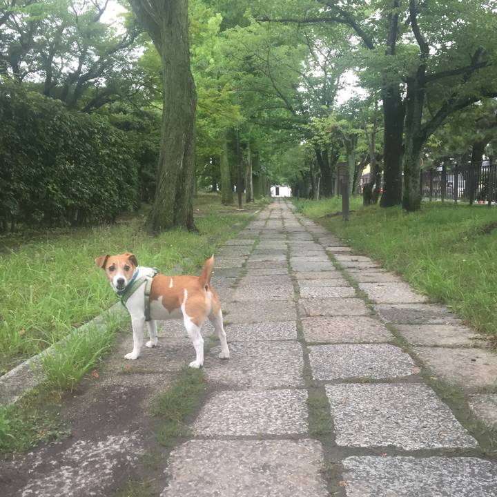 34d6db14 73d5 445b a1b4 b1bc4da296c0