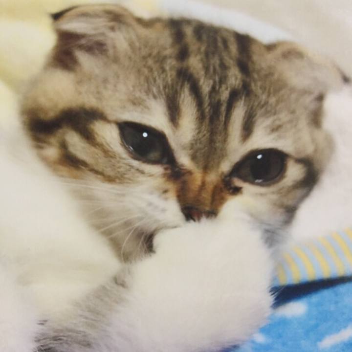 34d71806 2d89 443c a3b6 9e631b46baf8