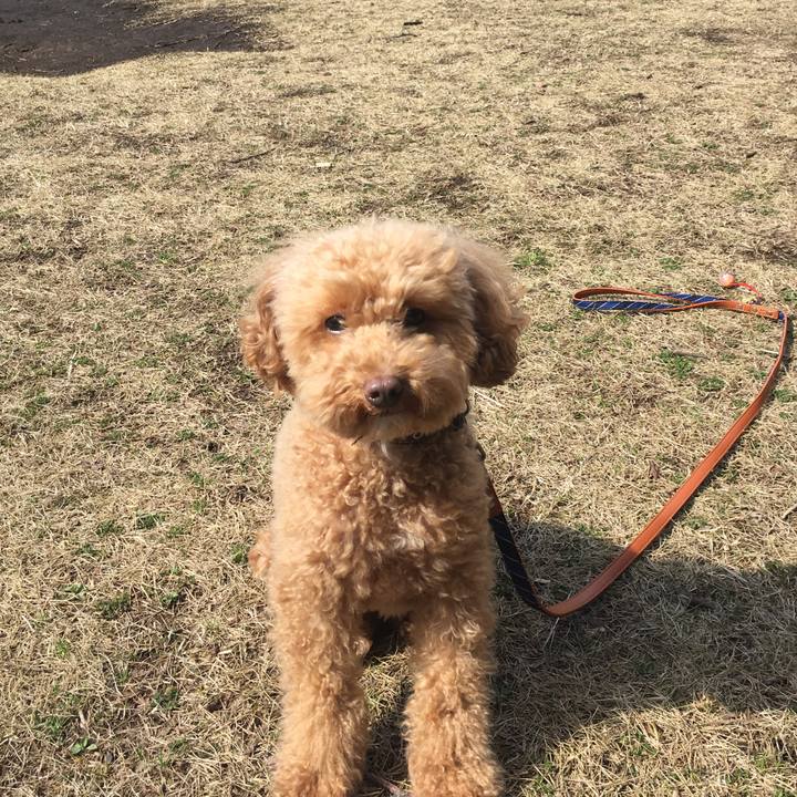 34d734d0 a8dd 487f a8fa a779d24a8908