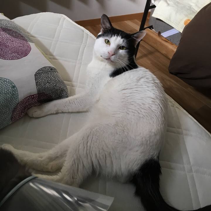 34d7b06b 613c 47b2 bfab 628776b0f365