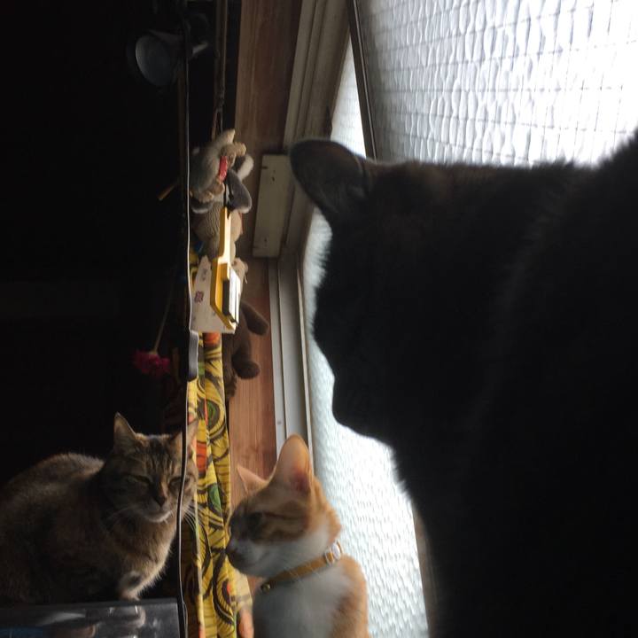 34d7c97d 25d9 4f0c b641 f3de3eddb045