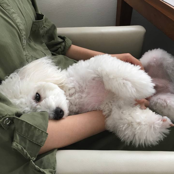 34d80c36 6b8f 40e9 8924 def57322982e