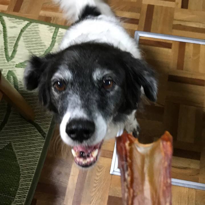 34d84b0c 88b0 4335 b7c3 87a85db7d246