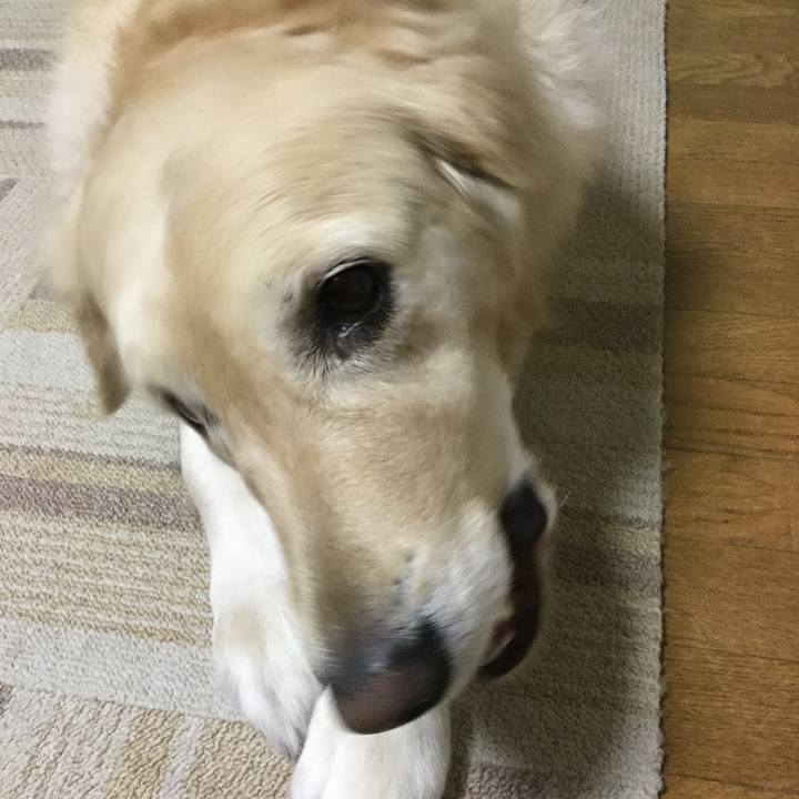 34d85dc3 5353 43cf 90fd 98d8f90919b4