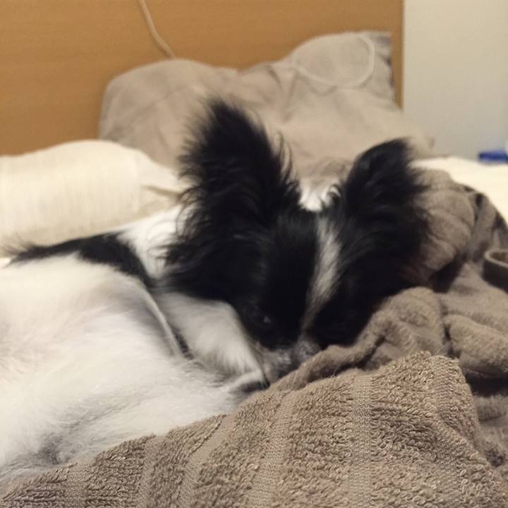 34d88f58 5d94 491d a963 8da636c2e4bb