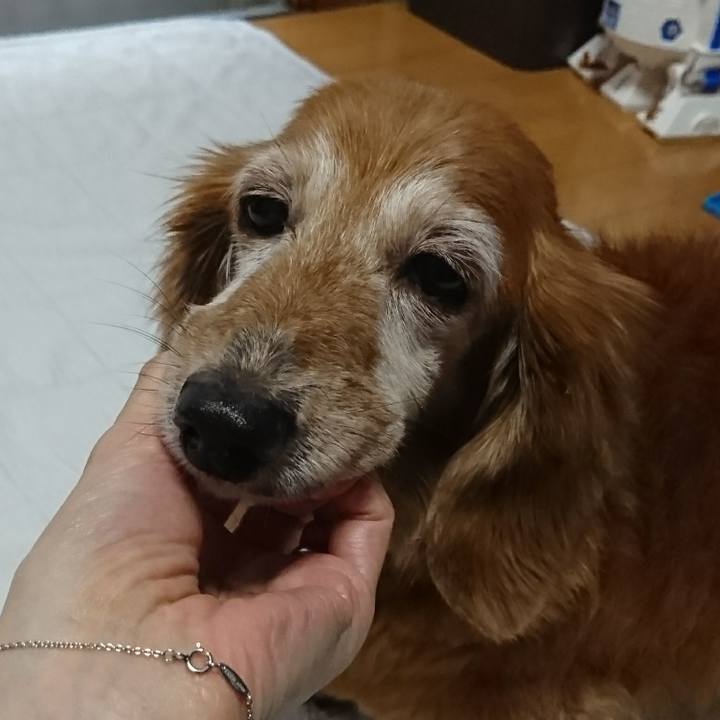 34d89bdd 6c86 4b5c a5e1 af12c228fc4e