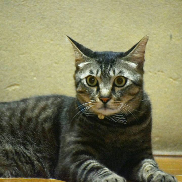 34d8bf5c cc2a 49c5 ae7d 7146e445df4f