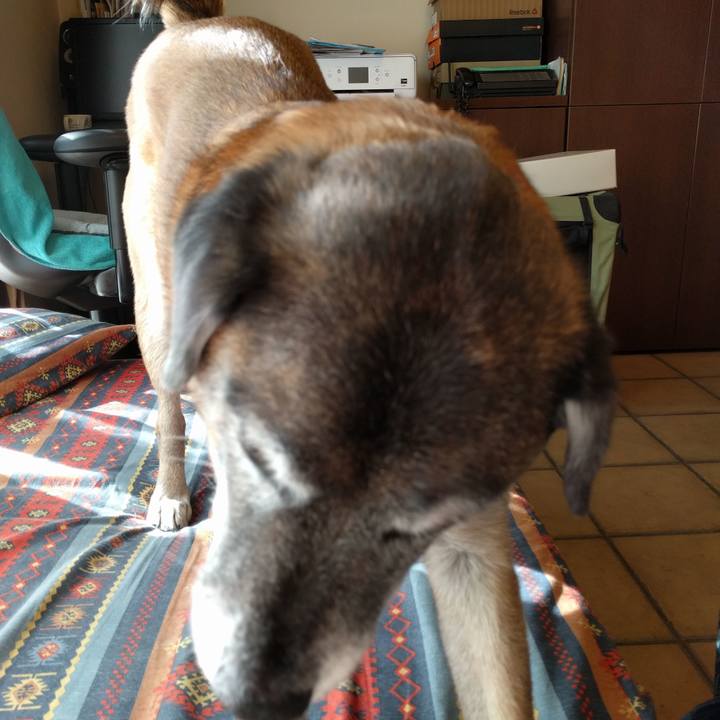 34d8eaf4 33ae 44c9 8a67 de520b7bac2d