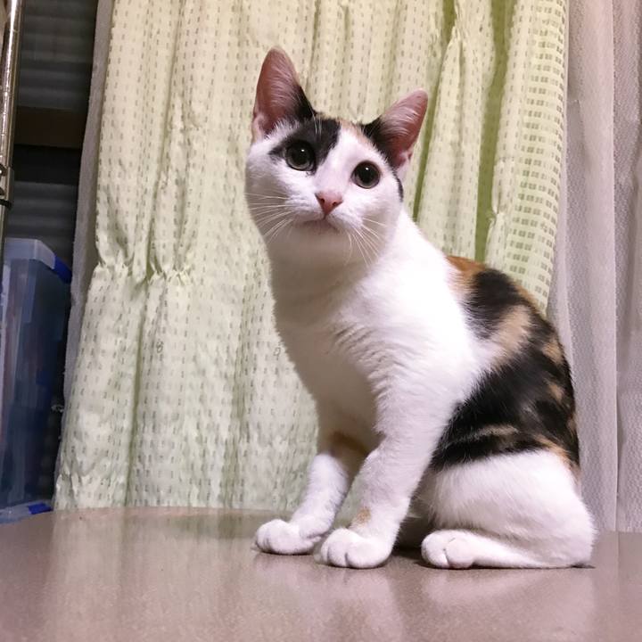 34d9cde9 4f4e 40fa 8adc 3abf54944b55