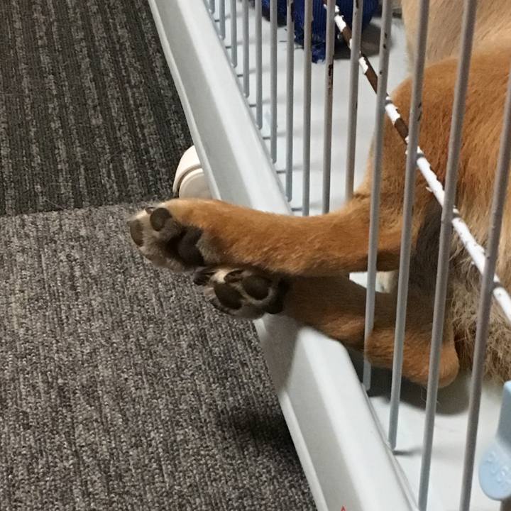 34d9e1bd a22b 4d97 a5f2 876732f39f00