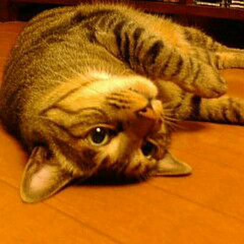 34da1f15 6989 455c a9e4 8bcaa5d23d00