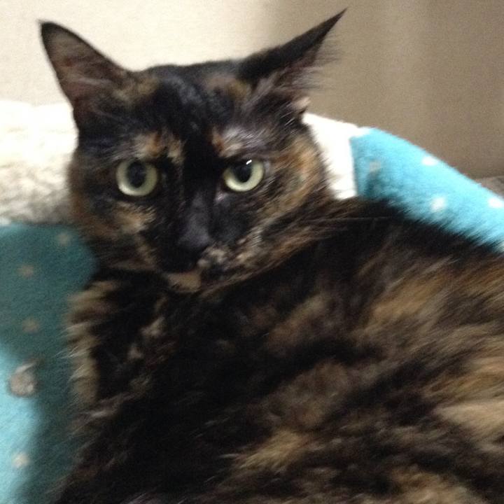 34da31c2 2af4 4e58 a6ef 58a7d30d42dd