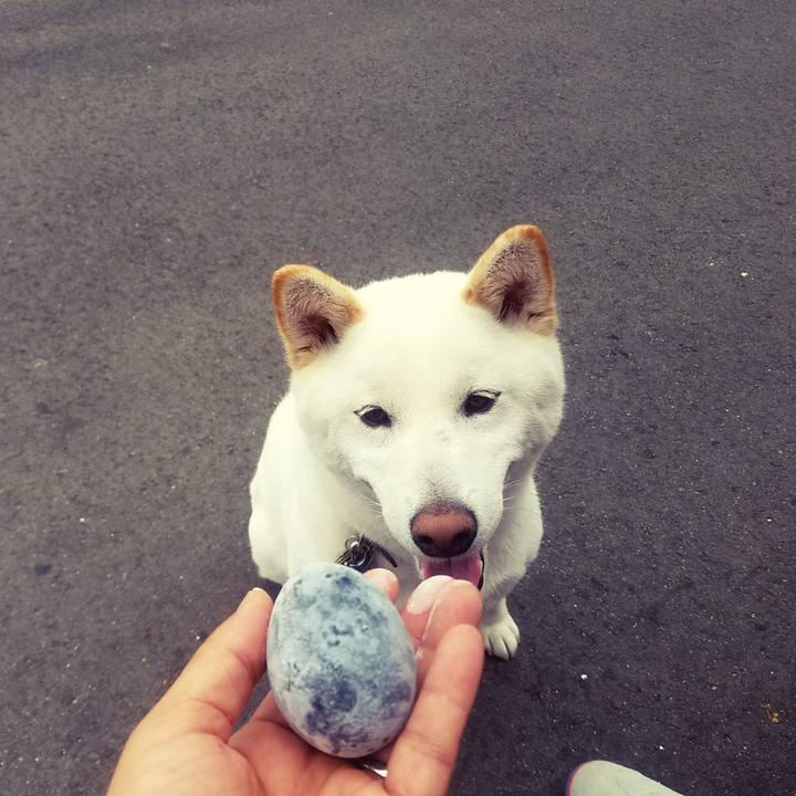 34da6f34 7bb3 461c 986c 008ed340470d