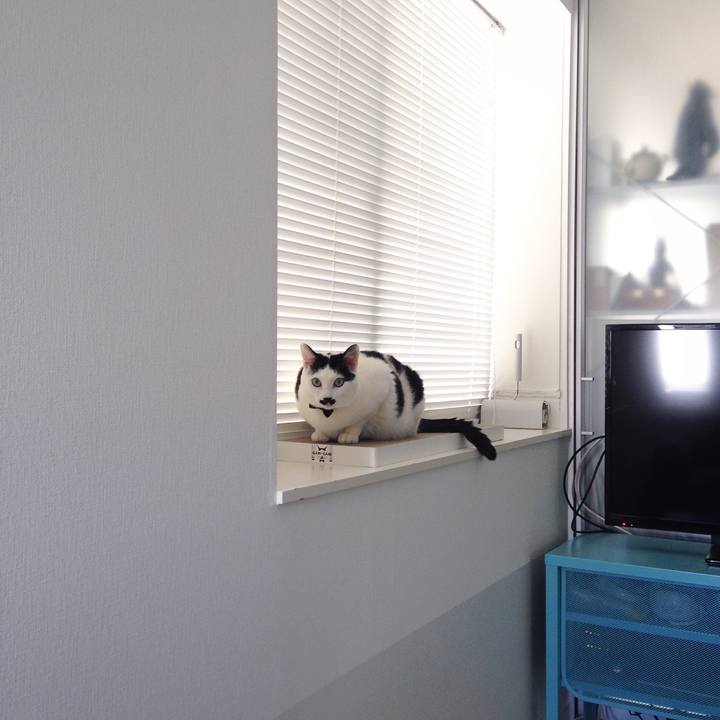 34db3afa a6b8 4847 8ed0 74d6b0629c17