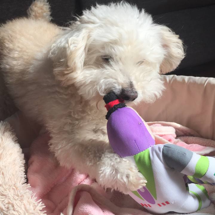 34db7b36 4337 4d75 8e18 44700d859264