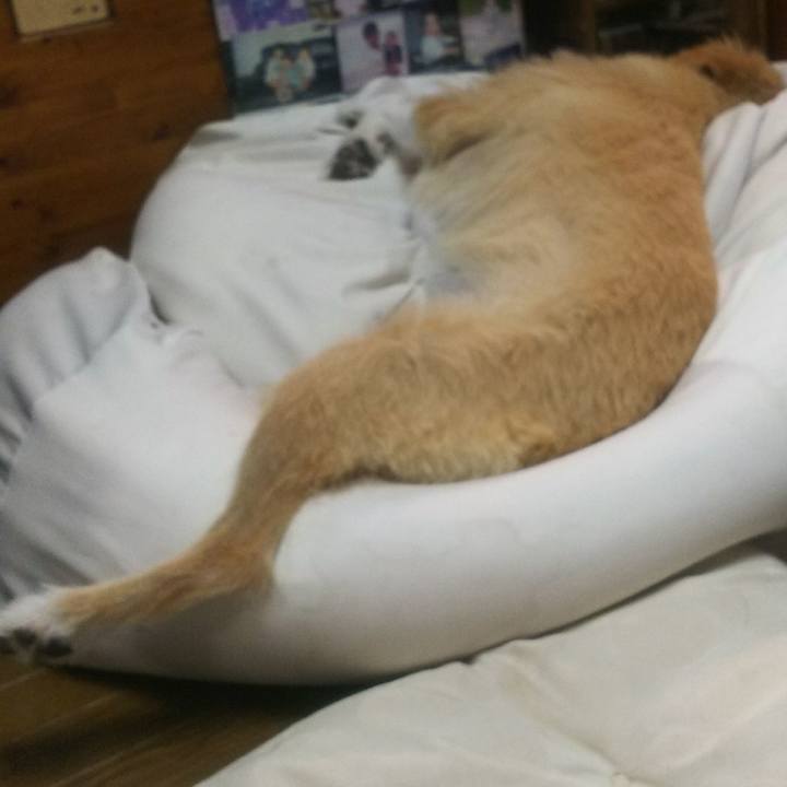 34dc367f b8c1 4e85 92fb e992b55fb279