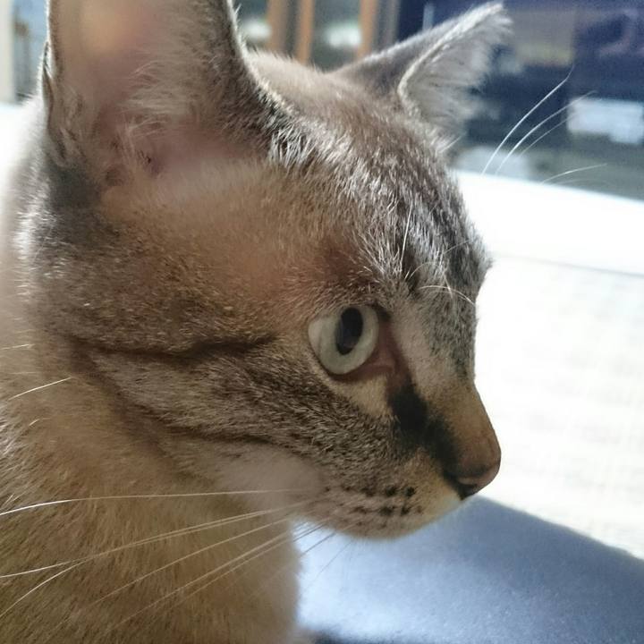 34dc454f dc92 47a3 a714 12d79b260513