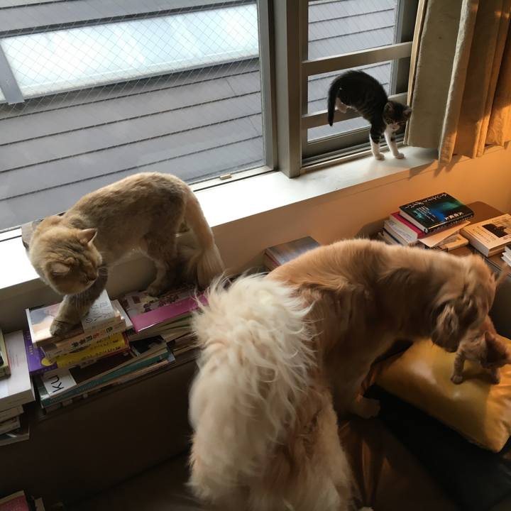 34dc7031 54f8 4a44 86af c7e9b65869ce