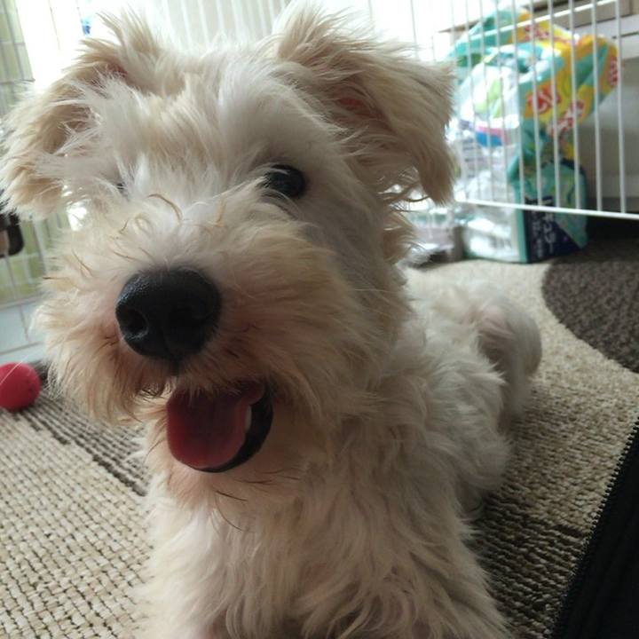 34dc968f e803 4fb4 8032 0c2eed622d2c