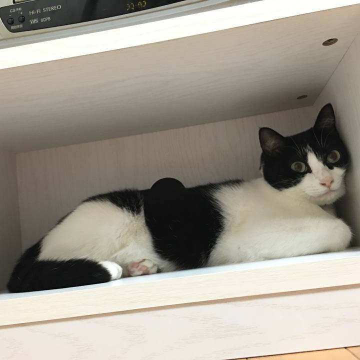 34dce5a8 e79e 4021 b453 d78af90a197c