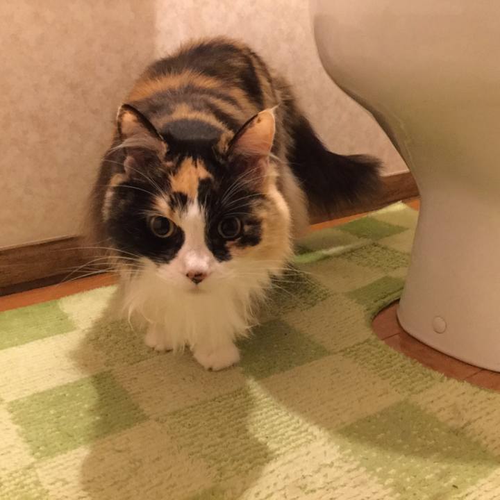 34ddb82b 2b0d 4f4e b7da 99b60a60a726