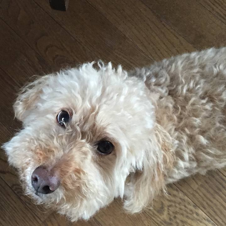 34de21d9 f038 4352 8c68 e5ad8ce4753a